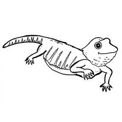 背中がとげとげのトカゲが歩いている のぬりえ