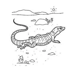 砂漠の風景の中のトカゲ のぬりえ