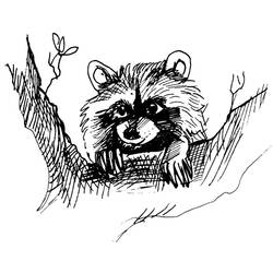 アライグマが木の枝の間から顔を出す のぬりえ