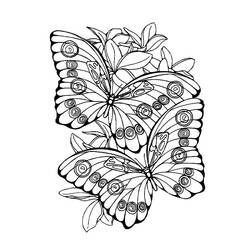 花にとまる二匹の蝶 のぬりえ